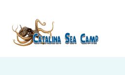 Catalina Sea Summer Camp 